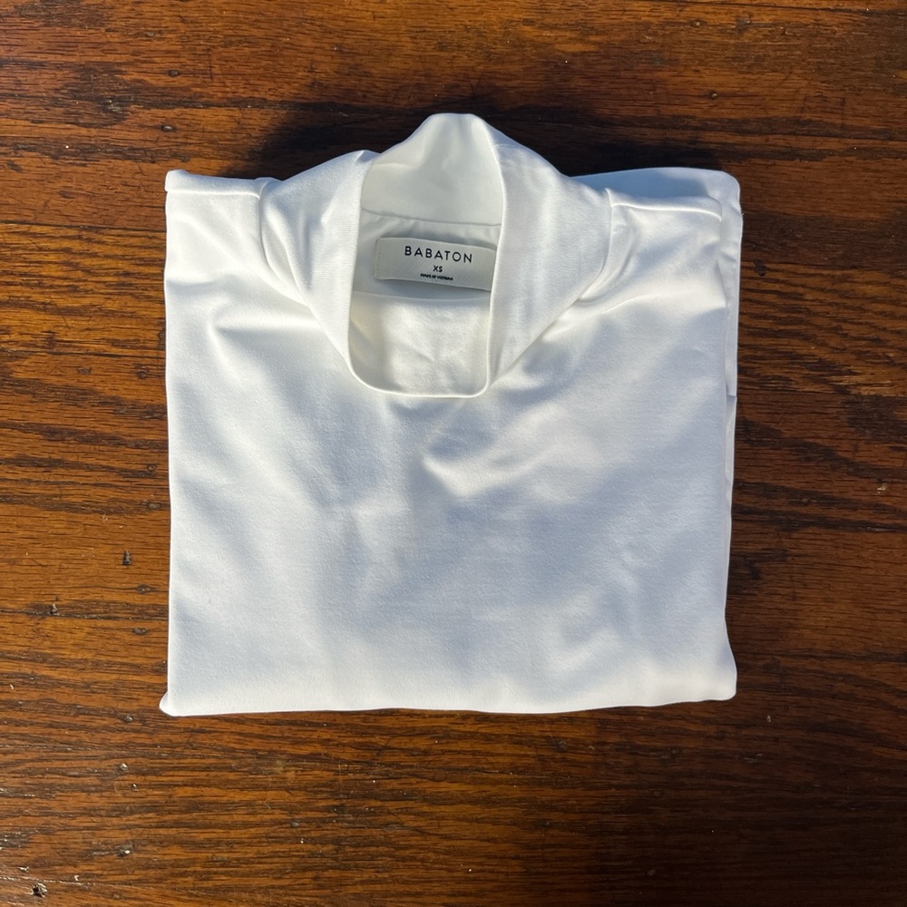 Aritzia Babaton Mockneck Top